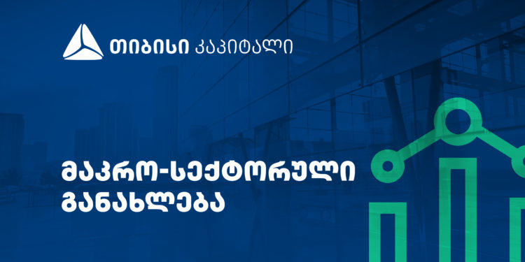 თიბისი კაპიტალმა განახლებული, მაკრო-სექტორული მიმოხილვა წარადგინა