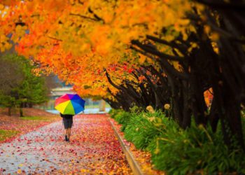 September 10-16 Weather in Georgia