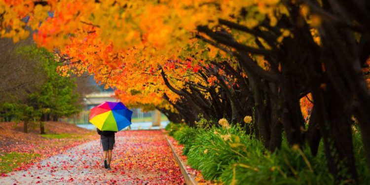 September 10-16 Weather in Georgia