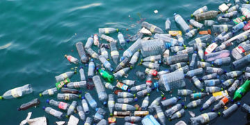 Here’s Why You Should Say No to Plastic (and How)