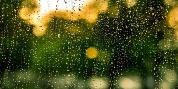 Relatively Cold and Rainy Weather Excepted