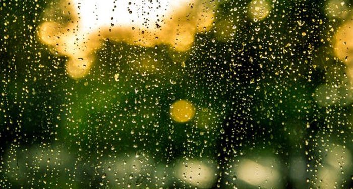 Relatively Cold and Rainy Weather Excepted