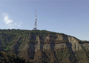 The Tbilisi Urban Forest Rehabilitation, Exclusive Interview with Cartu Fund’s Nikoloz Chkhetiani