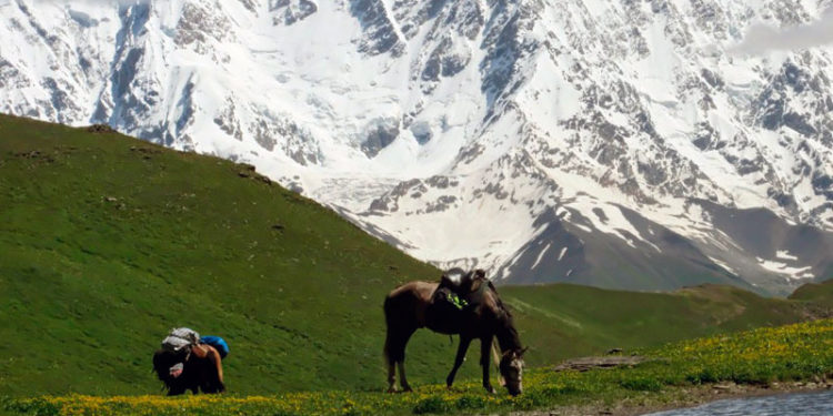 Minister: 10-year Ecotourism Strategy to Make Georgia Leading Destination in Caucasus