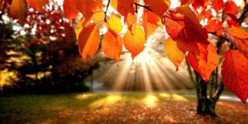 Warm Weather to be Maintained in Georgia until October 25