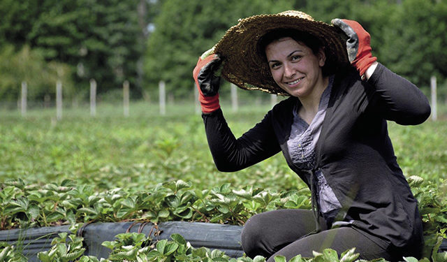 Rural SMEs have an important role to play in the economy of Georgia, but their access to finance and to the knowledge needed for growth and competitiveness is limited. Source: UNDP