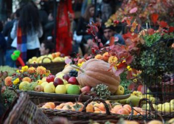Tbilisi to Host Autumn Harvest on October 23-24 – Kaladze