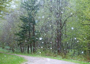 Light Rain and Snow Expected in Georgia