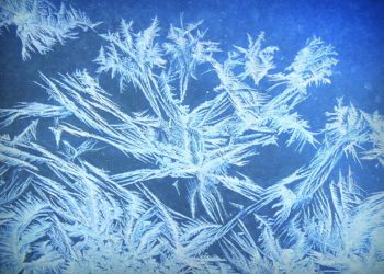 Frost Expected in Georgia