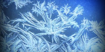 Frost Expected in Georgia