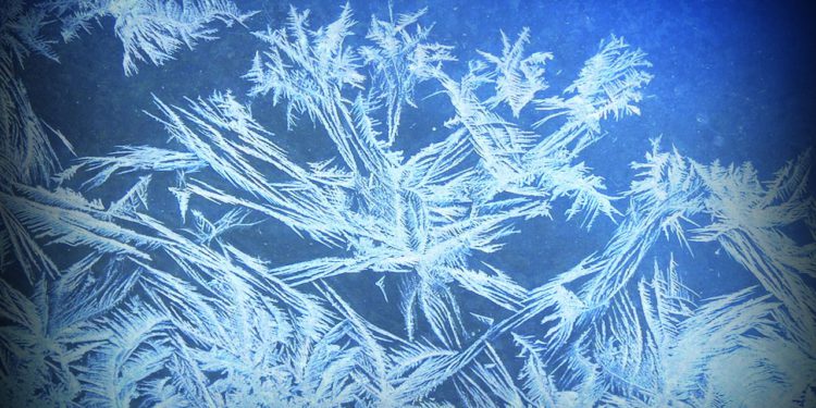 Frost Expected in Georgia