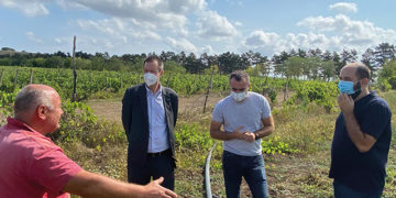 Ambassador Mühlmann on a field visit in Shida Kartli, Plevi and Tkotsa villages, important projects to support local farmers