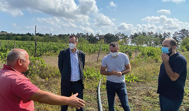 Ambassador Mühlmann on a field visit in Shida Kartli, Plevi and Tkotsa villages, important projects to support local farmers