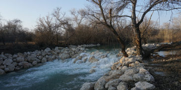 SABUKO: Fruitful Collaboration with Local Farmers & State Agencies Leads to Achievements in Ecosystem Restoration