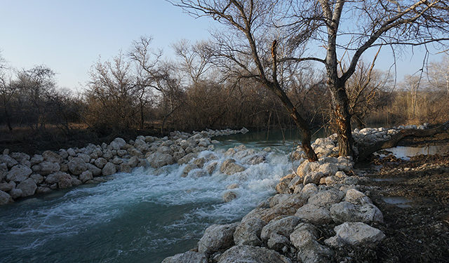SABUKO: Fruitful Collaboration with Local Farmers & State Agencies Leads to Achievements in Ecosystem Restoration