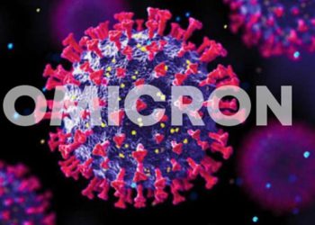 Tamar Gabunia: 24 Cases of Omicron Registered in Georgia so far