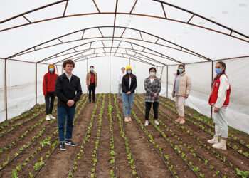 In Dioknisi, youth set up a greenhouse in the local schoolyard to use as a fundraising opportunity for local community ideas. Photo by Giorgi Shengelia/AGC/UNDP