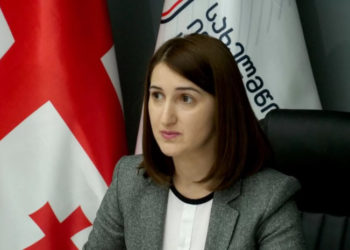 UN Country Team Concerned over Abolishment of State Inspector’s Service