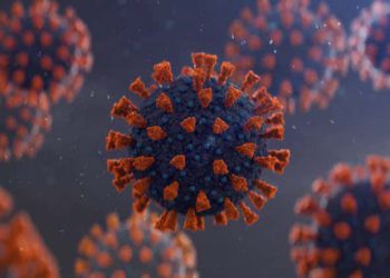 816 Cases of ‘Omicron’ Confirmed in Georgia so far