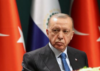 Recep Tayyip Erdogan: NATO Should Have Taken More Decisive Step