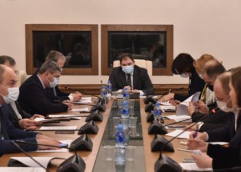 Giorgi Khelashvili Urges Support for Ukraine Resolution