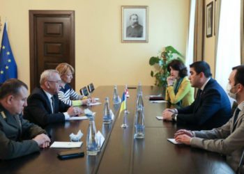 Speaker of Parliament of Georgia Meets with Ambassador of Ukraine