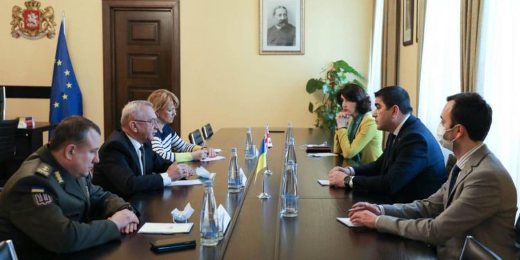 Speaker of Parliament of Georgia Meets with Ambassador of Ukraine