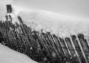 The Little Things, Again