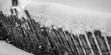 The Little Things, Again