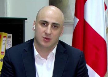 UNM Chairman Melia Admits He was Against Saakashvili’s Return to Georgia