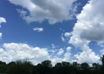 Expected Weather for Coming Days