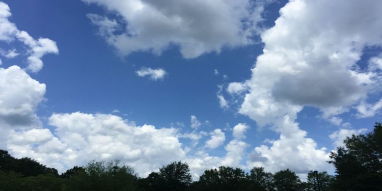 Expected Weather for Coming Days