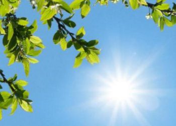 Warm Weather Expected on February 22-24