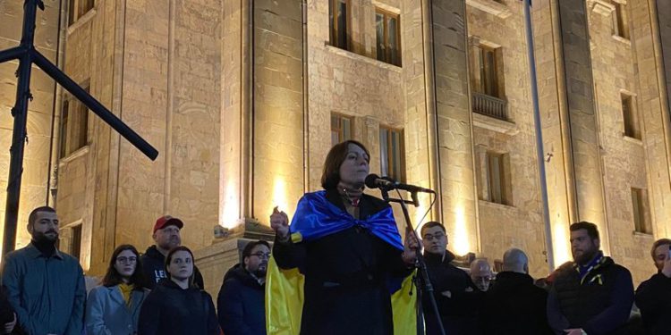 Khoshtaria: We Spent Night in Front of Parliament. We Now Have a Legitimate Demand