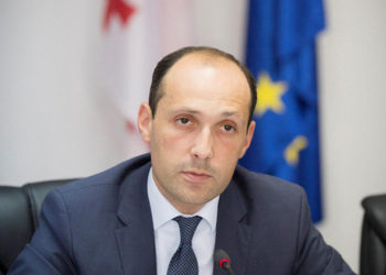 Davitashvili: 20-25 Thousand People has Arrived in Georgia from Russia