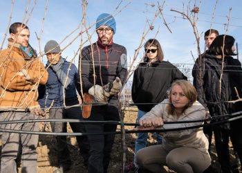 EU, FAO Support Georgian Winemakers with International Expertise as Exports Hit 107 mln Bottles