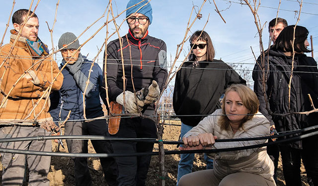 EU, FAO Support Georgian Winemakers with International Expertise as Exports Hit 107 mln Bottles