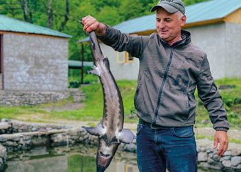 EFSE and Lazika Capital Form New Partnership to Advance Local Currency Lending in Rural Georgia