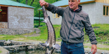 EFSE and Lazika Capital Form New Partnership to Advance Local Currency Lending in Rural Georgia