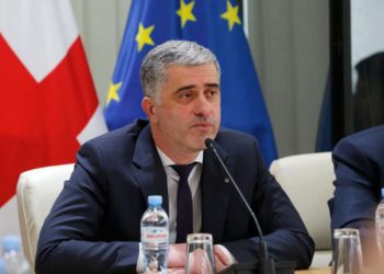 Shamugia: In Some Stores, there may be Temporary Delay, However, It Will be Eliminated in Few Days