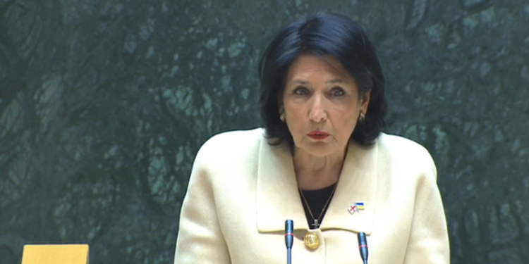 President of Georgia Enters Session Hall with Temporary Representative of Ukraine