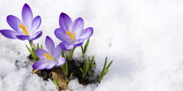 Rain, Snow and Wind Expected till March 25