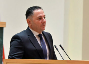 Gomelauri: Rate of Russian Citizens Crossing Georgian Border is Reduced by 50% Compared to Same Period of 2019