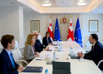 Rothschild & Co Presents First Draft Strategy for Transforming Georgia Into Multifunctional Regional Hub to PM