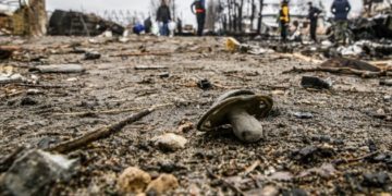 Prosecutor General of Ukraine: 153 Children Killed During the Russian Attacks