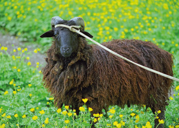 Not to Be Cynical or Anything