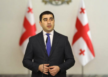 Parliament Speaker: Georgia, Azerbaijan Play Major Role in Building Regional Peace