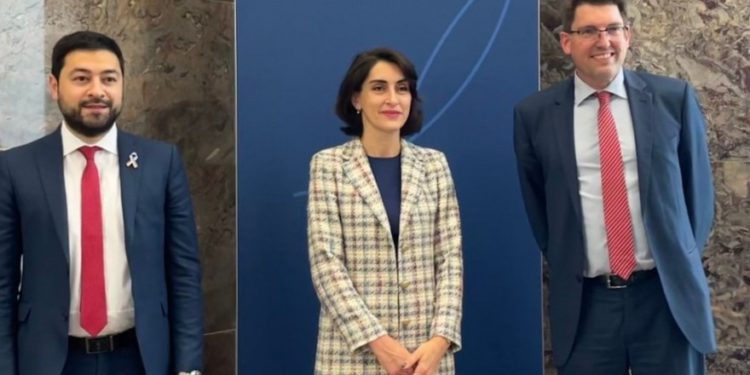 Chairs of EU Integration Committee Discuss EU Membership Application in Office of Chancellor of Germany