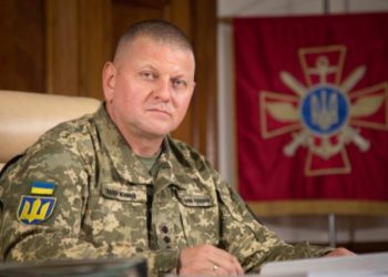 Commander-in-Chief of Ukrainian Armed Forces Congratulates Georgia on Independence Day