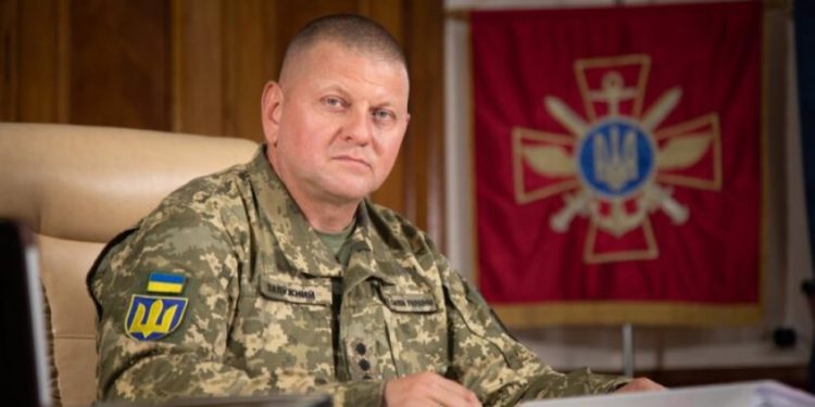 Commander-in-Chief of Ukrainian Armed Forces Congratulates Georgia on Independence Day